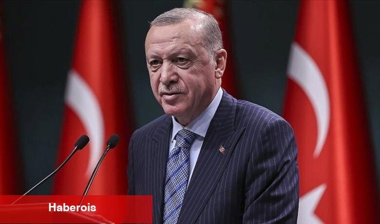 Erdoğan: Stratejik ehemmiyete sahip eserlerde arz riski yok - Haberois Erdoğan: Stratejik ehemmiyete sahip eserlerde arz riski yok
