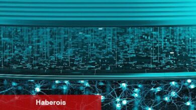  ESET fidye yazılım çetesi RansomHub'ı tüm detayları ile inceledi