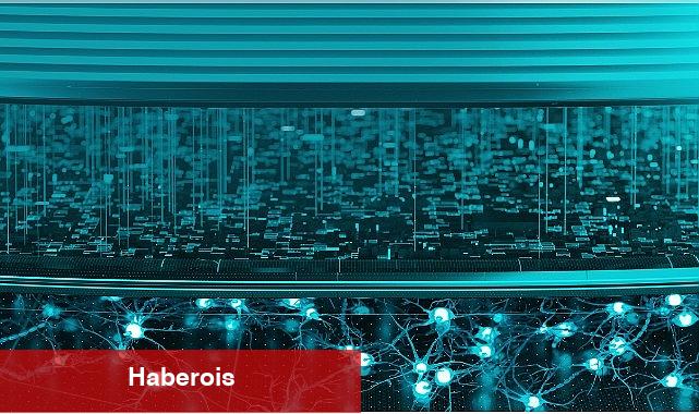 ESET fidye yazılım çetesi RansomHub'ı tüm detayları ile inceledi - Haberois ESET fidye yazılım çetesi RansomHub'ı tüm detayları ile inceledi
