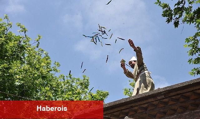 Festival'in Renkleri Fotoğraf Karelerinde Hayat Bulacak - Haberois Festival'in Renkleri Fotoğraf Karelerinde Hayat Bulacak