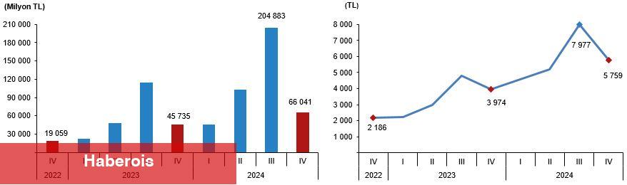 Hanehalkı Yurt İçi Turizm, IV. Çeyrek: Ekim-Aralık, 2024