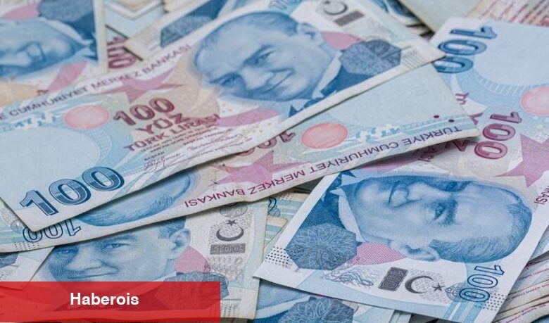 Hazine'nin TÜFE'ye endeksli tahvil ihalesinde müspet faiz
