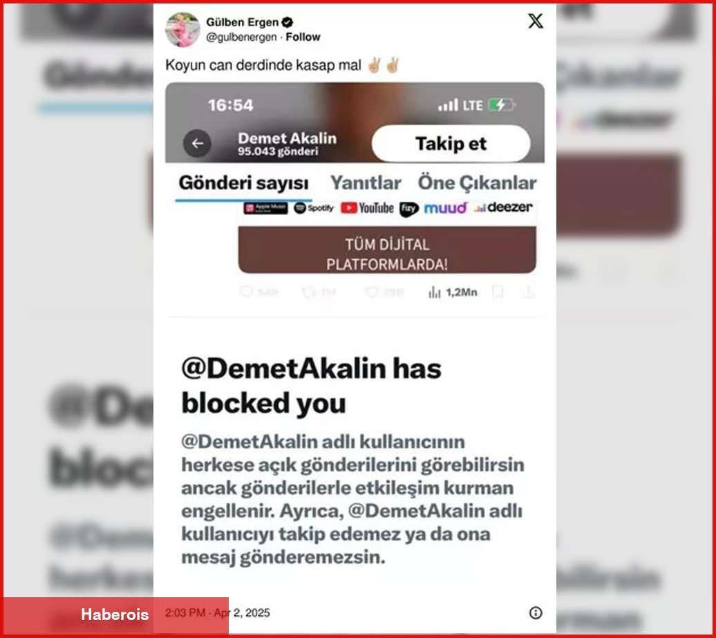 Hengame giderek büyüyor! Gülben Ergen ve Demet Akalın arbedesine sürpriz bir isim dahil oldu