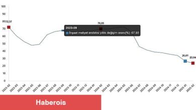 İnşaat Maliyet Endeksi, Şubat 2025