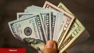 İşsizlik Sayıları Açıklandı – Dolar/TL Kuru İvme Kazandı