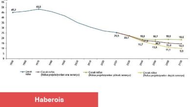 İstatistiklerle Çocuk, 2024