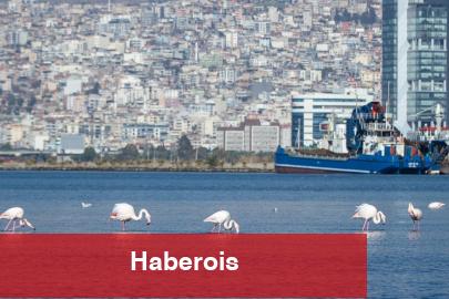 İzmir’in iklim krizi ile mücadelesi güçleniyor