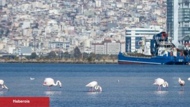İzmir’in iklim krizi ile mücadelesi güçleniyor
