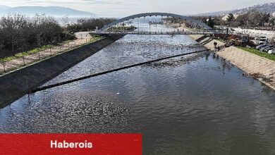 İzmit Körfezi dört koldan temizleniyor