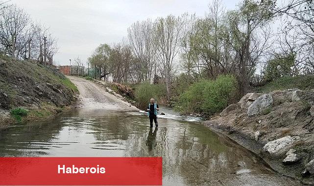 İzmit Körfezi'ne akan 12 dere yakından izleniyor