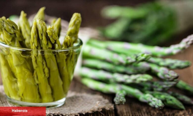 K vitamini deposu "kuşkonmaz" ne kadar yararlı? - Haberois K vitamini deposu "kuşkonmaz" ne kadar yararlı?