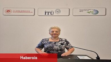 Karbonsuz karbon Zirvesinde Düşük Karbon Kahramanı Ödülleri Sahiplerini Bulacak
