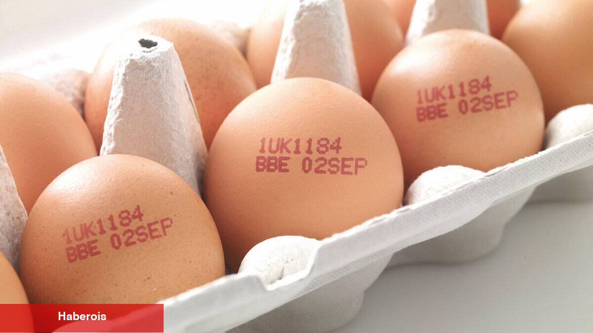 Kodları okumadan almayın! Yumurta alırken bunlara dikkat edin... - Haberois Kodları okumadan almayın! Yumurta alırken bunlara dikkat edin...