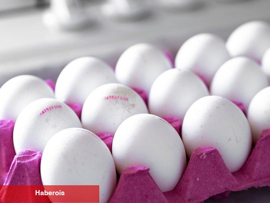 Kodları okumadan almayın! Yumurta alırken bunlara dikkat edin...