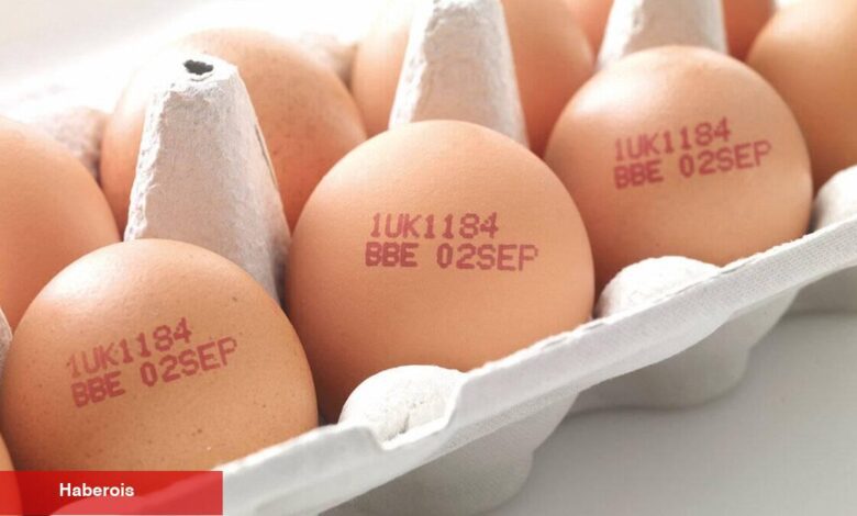 Kodları okumadan almayın! Yumurta alırken bunlara dikkat edin... - Haberois Kodları okumadan almayın! Yumurta alırken bunlara dikkat edin...