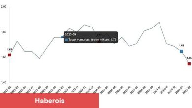 Kümes Hayvancılığı Üretimi, Şubat 2025