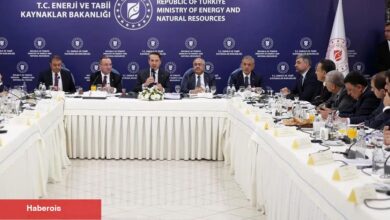 Mardin’de elektrik sorununa kalıcı çözüm hamlesi