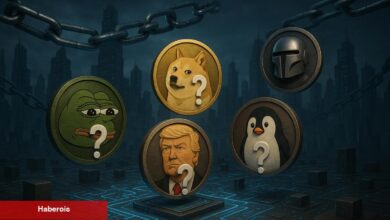Mayıs 2025’te Takip Edilmesi Gereken 5 Göğüs Coin!