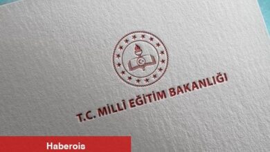 MEB öğretmen ataması branş dağılımı açıklandı! 2025