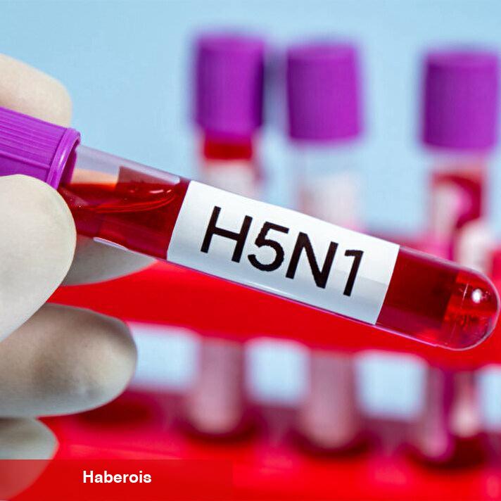 Meksika'da alarm verildi: Birinci sefer bir beşerde 'H5N1' kuş gribi tespit edildi!