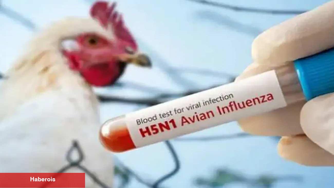 Meksika'da alarm verildi: Birinci sefer bir beşerde 'H5N1' kuş gribi tespit edildi!