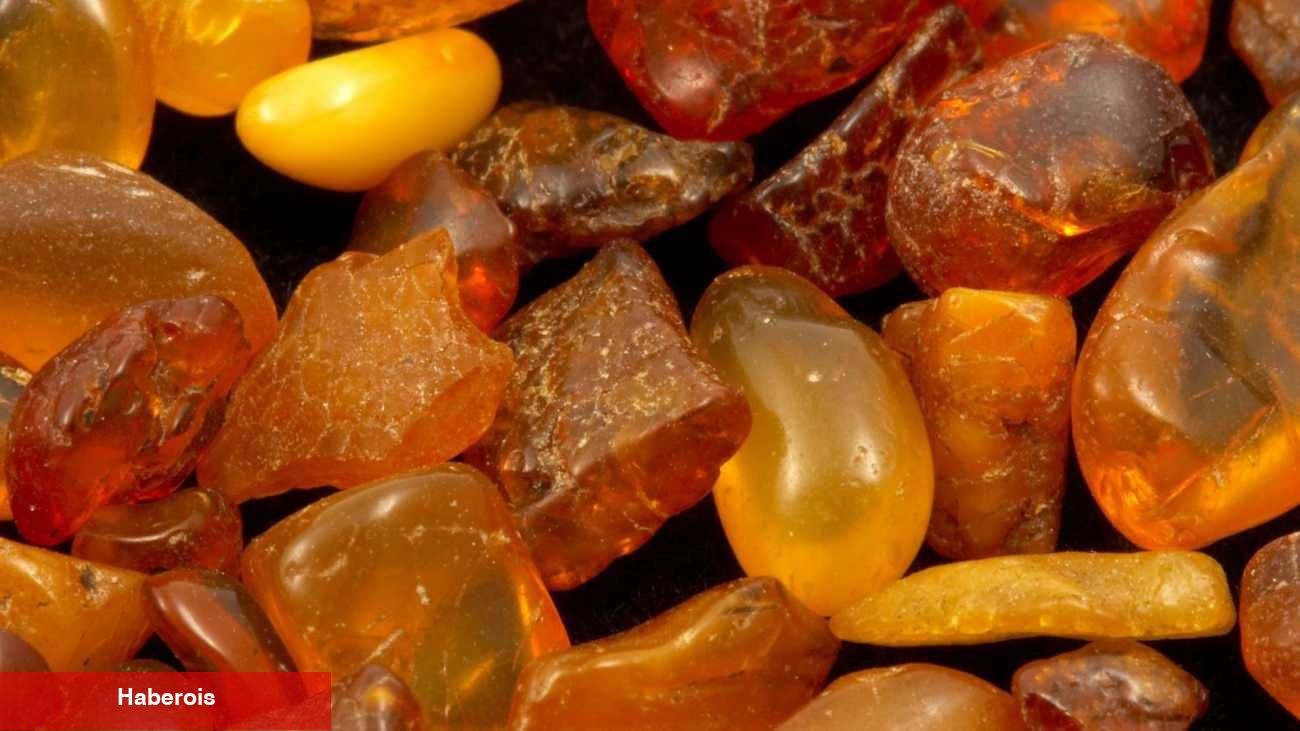 Milyonluk kapı takozu! Gerçek pahası yıllar sonra ortaya çıktı