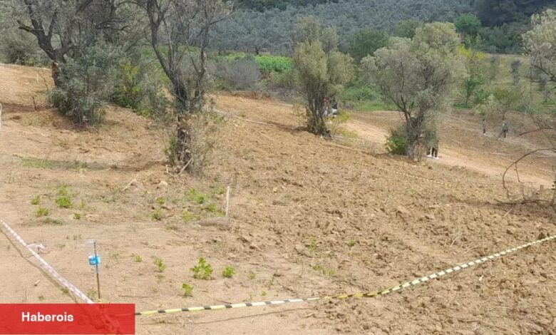 Mudanya'dan tarım topraklarında paylı satışlara karşı uyarı! - Haberois Mudanya'dan tarım topraklarında paylı satışlara karşı uyarı!