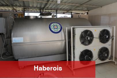 Muğla'da üreticilere 'süt tankı' desteği