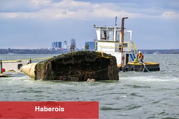 New York'taki terk edilmiş teknelere ne olur?