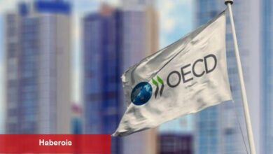 OECD'den Türkiye için büyüme ve enflasyon iddiası