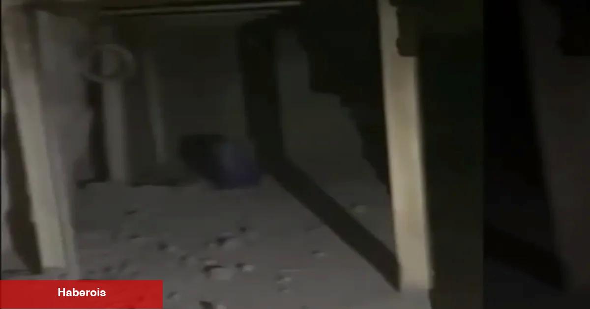 Pençe-Kilit'te teröristlere ilişkin mağara ele geçirildi