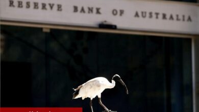 RBA tutanakları Mayıs’ta faiz indirimi görüşünü destekliyor, ANZ diyor