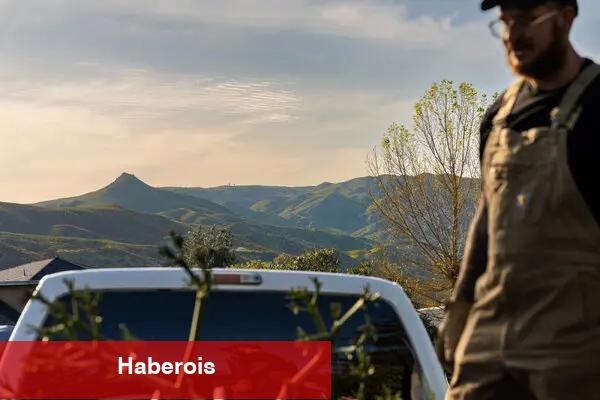 Sadece 'tekila' deme - Haberois Sadece 'tekila' deme