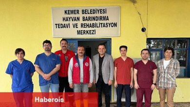 Satın alma sahiplen