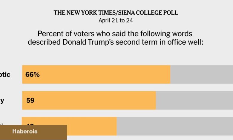 Seçmenler Trump'ın iktidar kullanımını aşırı erişim olarak görüyor, Times/Siena anketi buluyor - Haberois Seçmenler Trump'ın iktidar kullanımını aşırı erişim olarak görüyor, Times/Siena anketi buluyor
