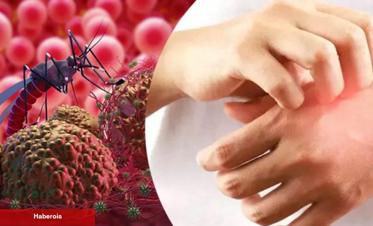 Seyahat edenler dikkat! Yüksek ateşle başlıyor vefata neden olan tehlike: Sıtma
