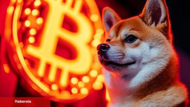 Shiba Inu 1 Dolar Olabilir mi? Bitcoin’i 1 Dolardan Tavsiye Eden Uzmandan Açıkladı!