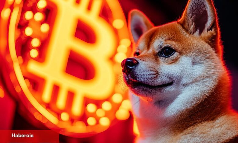 Shiba Inu 1 Dolar Olabilir mi? Bitcoin’i 1 Dolardan Tavsiye Eden Uzmandan Açıkladı! - Haberois Shiba Inu 1 Dolar Olabilir mi? Bitcoin’i 1 Dolardan Tavsiye Eden Uzmandan Açıkladı!