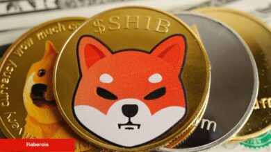 Shiba Inu Kurucusundan Gizemli İleti: Beklenen Büyük Atılım mi Geliyor?