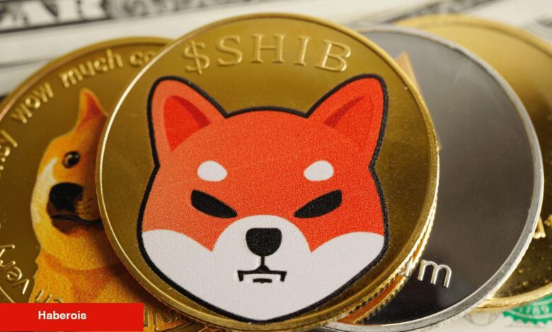 Shiba Inu Kurucusundan Gizemli İleti: Beklenen Büyük Atılım mi Geliyor? - Haberois Shiba Inu Kurucusundan Gizemli İleti: Beklenen Büyük Atılım mi Geliyor?