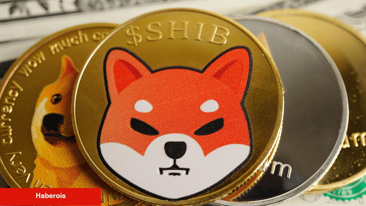 Shiba Inu Kurucusundan Gizemli İleti: Beklenen Büyük Atılım mi Geliyor?