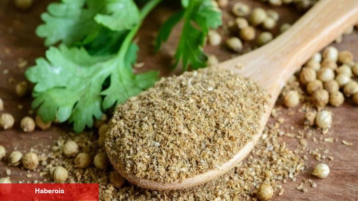 Şifası saymakla bitmiyor: Kişniş - Haberois Şifası saymakla bitmiyor: Kişniş