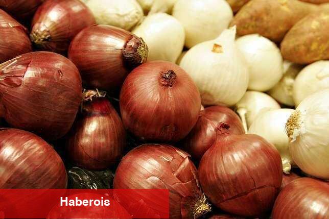 Soğan Kürü Neden Bu Kadar Tanınan Oldu?