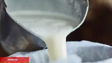Şubat'ta süt ürünleri üretiminde düşüş... Ayran ve kefir üretimi yüzde 6,9 arttı
