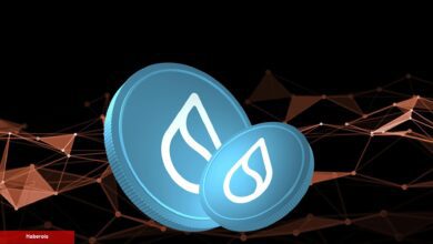 SUI Token Neden Haftada %70 Yükseldi? İşte Olayın Arkaplanı!