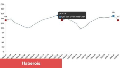 Süt ve Süt Ürünleri Üretimi, Şubat 2025