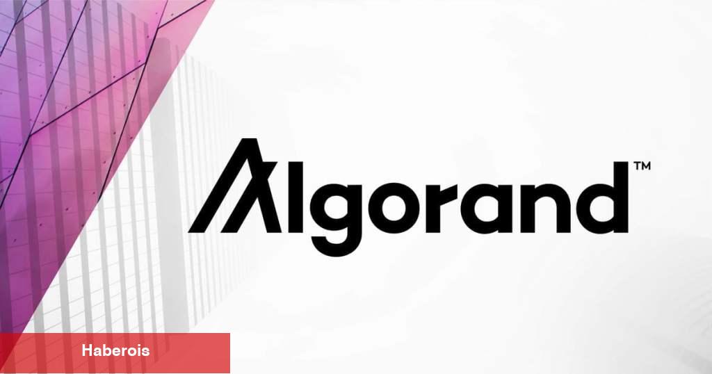 Tanınan Altcoin Algorand Türkiye’ye Odaklanıyor - Haberois Tanınan Altcoin Algorand Türkiye’ye Odaklanıyor