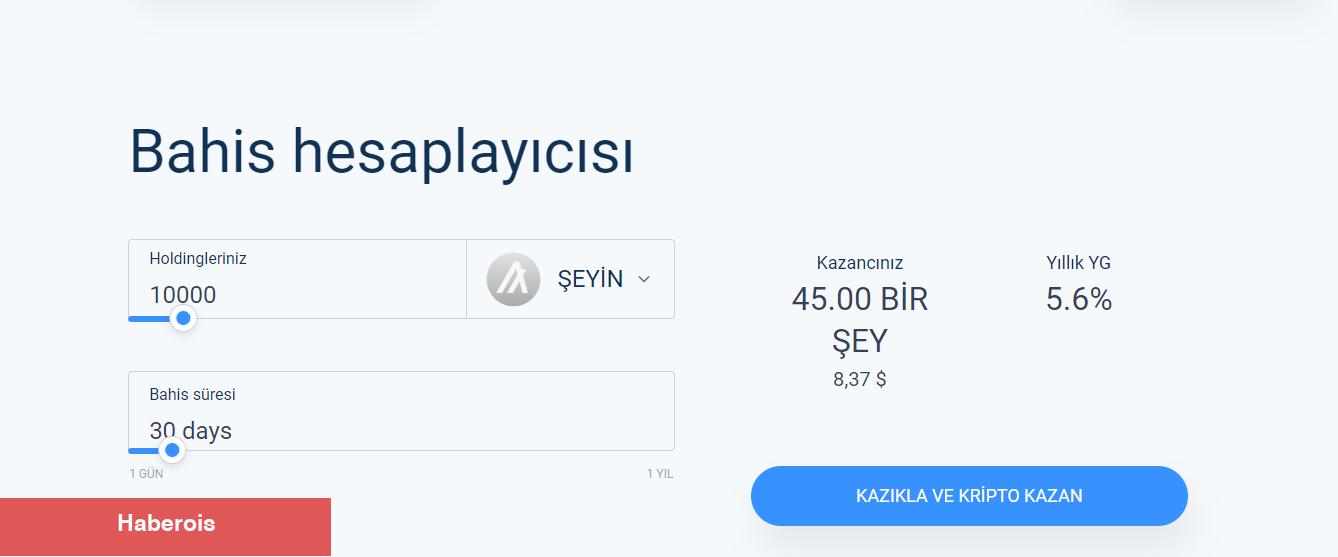 Tanınan Altcoin Algorand Türkiye’ye Odaklanıyor