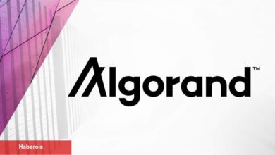 Tanınan Altcoin Algorand Türkiye’ye Odaklanıyor