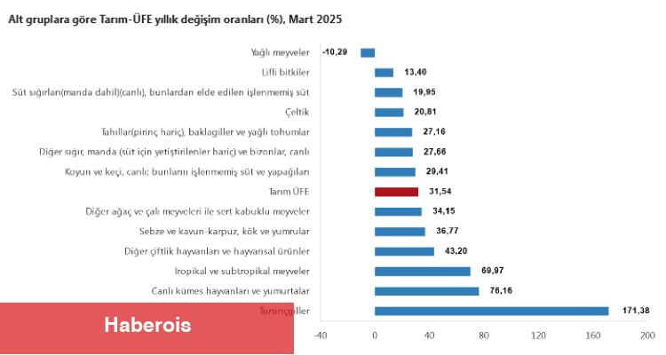 Tarım ÜFE'de en yüksek artış turunçgillerde... Turunçgiller 'Tarım'ın gözdesi